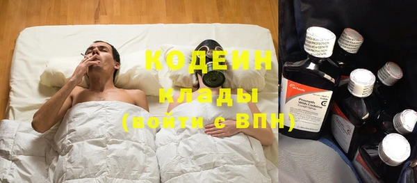 прущие грибы Карпинск