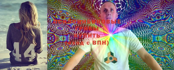 mdpv Бородино