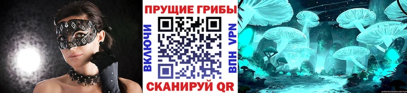 Галлюциногенные грибы ЛСД  даркнет сайт  Менделеевск 